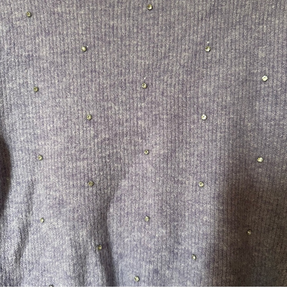 Zara Purple Rhinestone Sweater - Picture 3 of 4